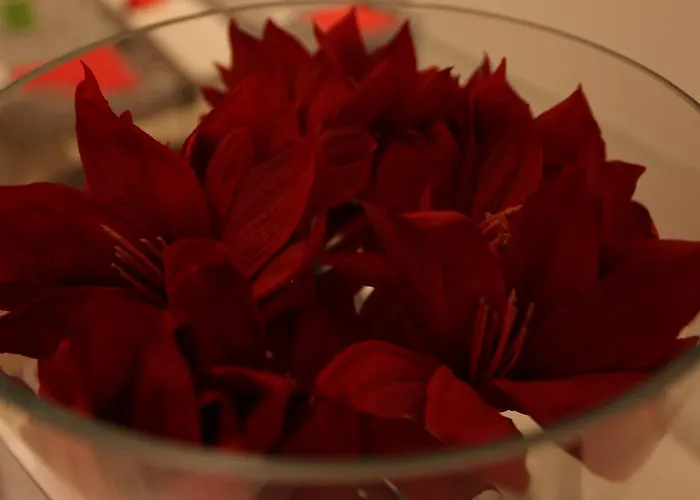 Fantasy Hotel Riccione