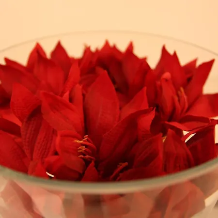 Fantasy Отель 3*